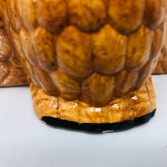 Mini Golden Brown Owl/Owlet Planter - Root Cuttings - Houseplants - Picture 7 of 8